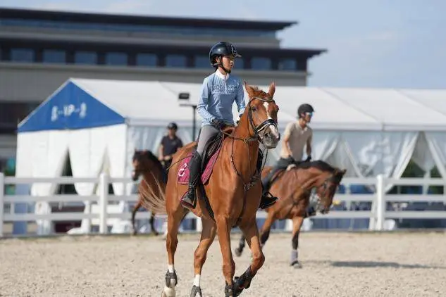 提供高质量, 这里也算是