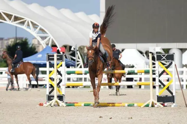 平时骑马很, 成果